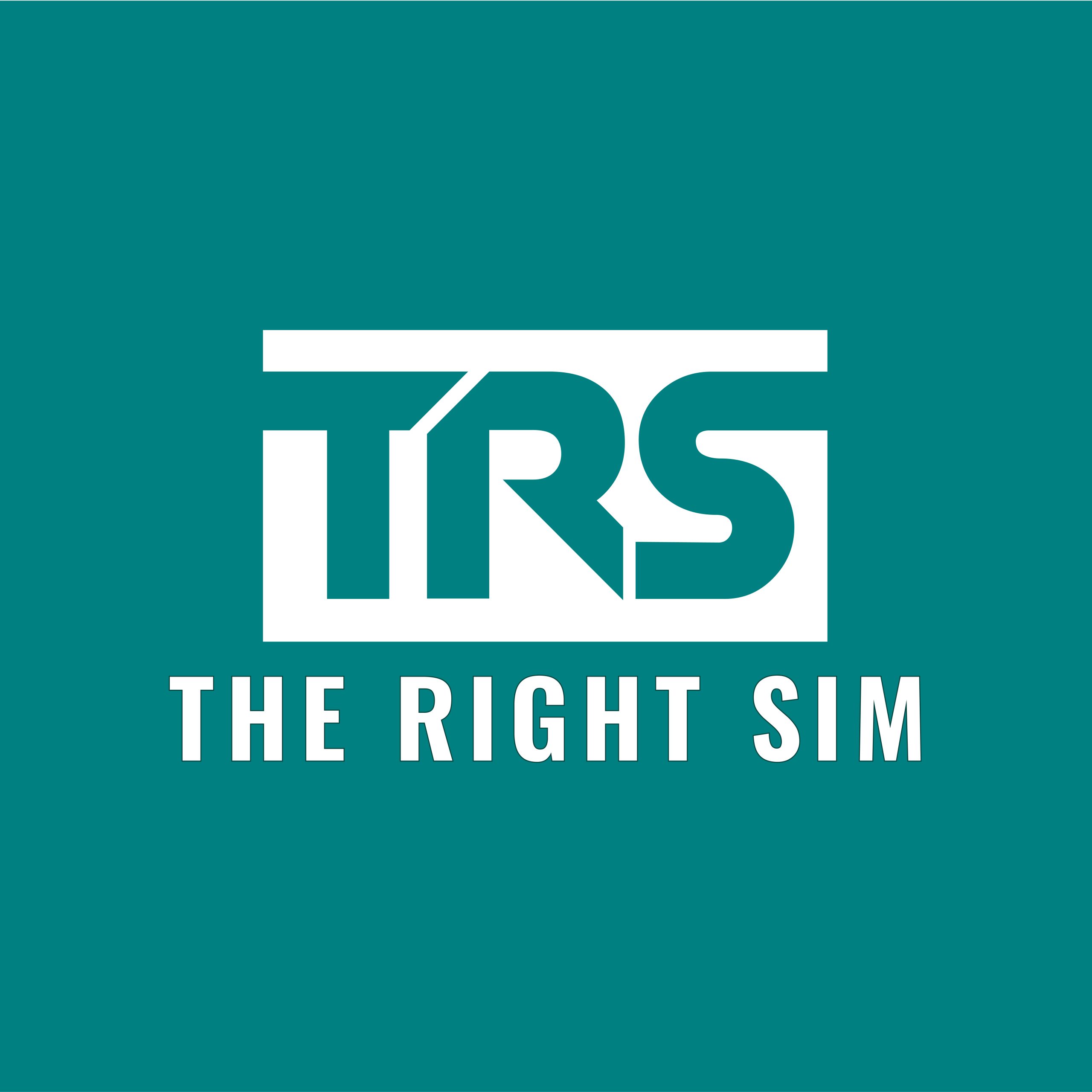 The Right Sim, la marketplace française au service des simracers !
